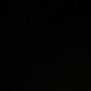 Meet your Posher, Maya